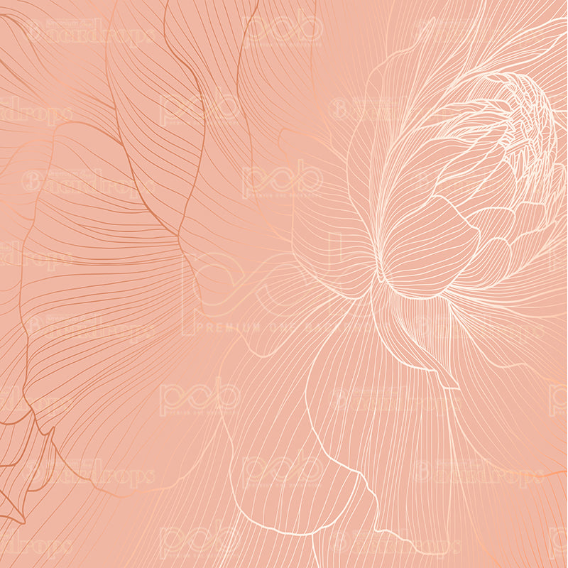 premium one pillowcover backdrops-Blush Peony Line Art