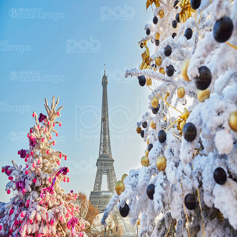 premium one pillowcover backdrops-Christmas In Paris