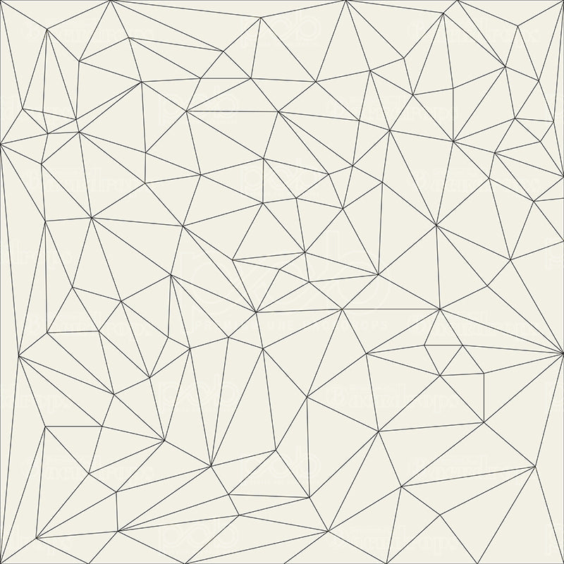 Pillow Cover Backdrop (Geometric Web)