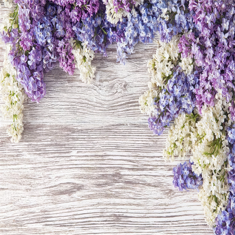 premium one pillowcover backdrops-Lilac Love