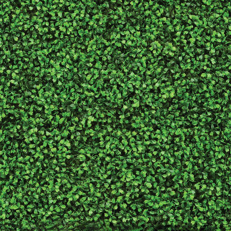 premium one pillowcover backdrops-Lush Green Foliage