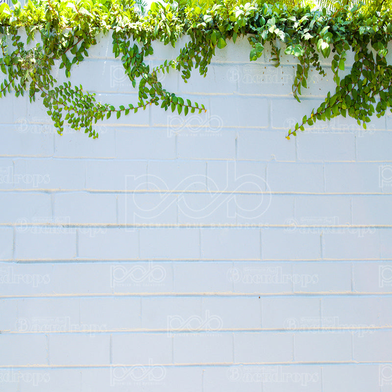 Pillow Cover Backdrop (Masonry & Leafy Border)