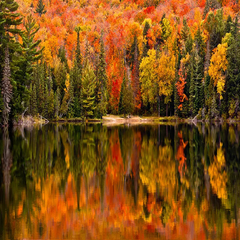 Pillow_Cover_Backdrops_Autumn_Lake-pob-backdrops