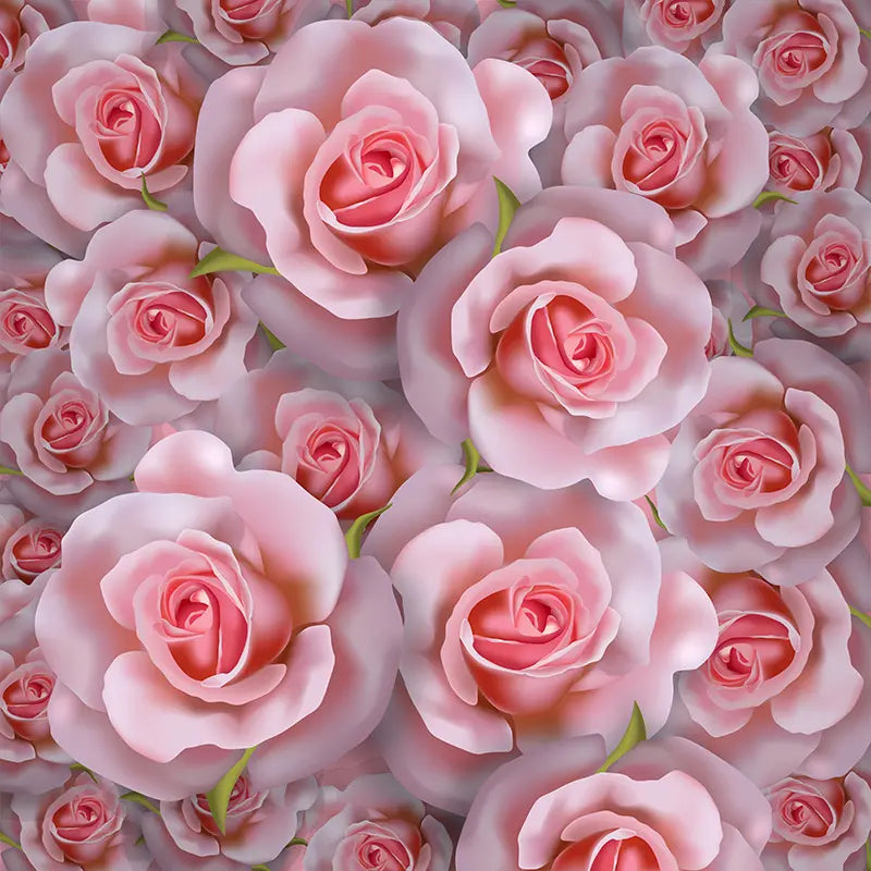 Pillow_Cover_Backdrops_BEAUTY_OF_THE_ROSE-pob-backdrops