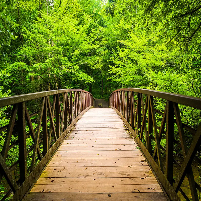 Pillow_Cover_Backdrops_BRIDGE_INTO_NATURE-pob-backdrops
