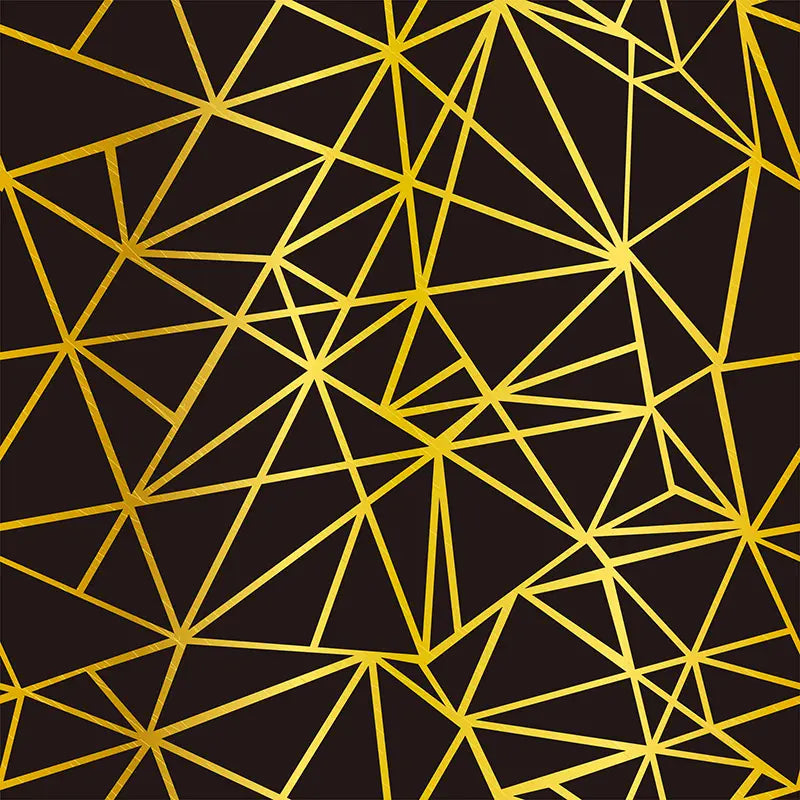 Pillow_Cover_Backdrops_Black_and_Gold_Geometric-pob-backdrops