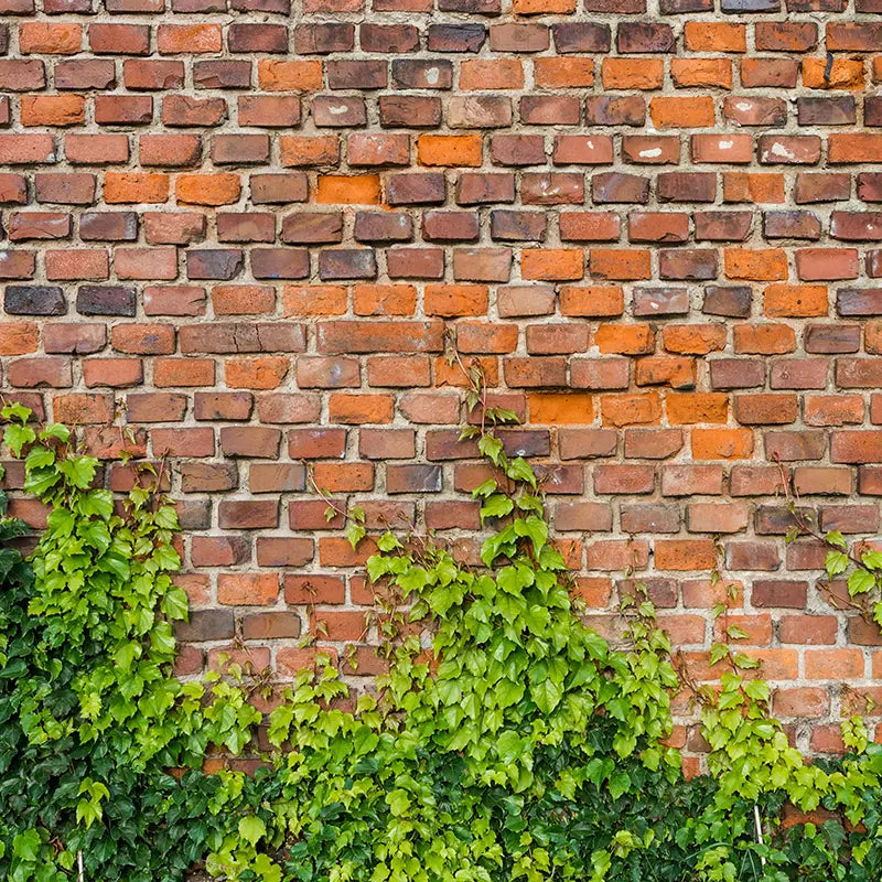 Pillow_Cover_Backdrops_Brick_With_Greenery-pob-backdrops