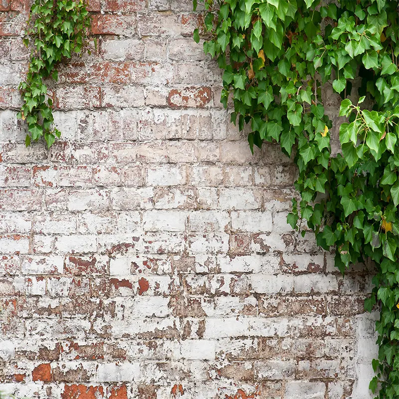 Pillow_Cover_Backdrops_Brick_wall_flowers-pob-backdrops