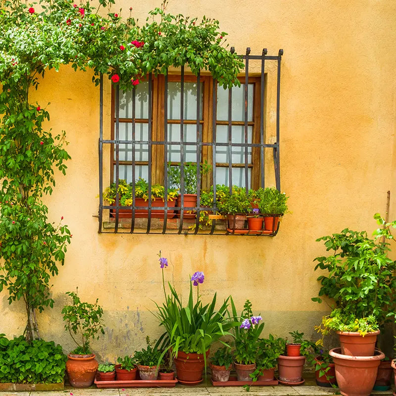 Pillow_Cover_Backdrops_Flowerpot_Wall_House-pob-backdrops