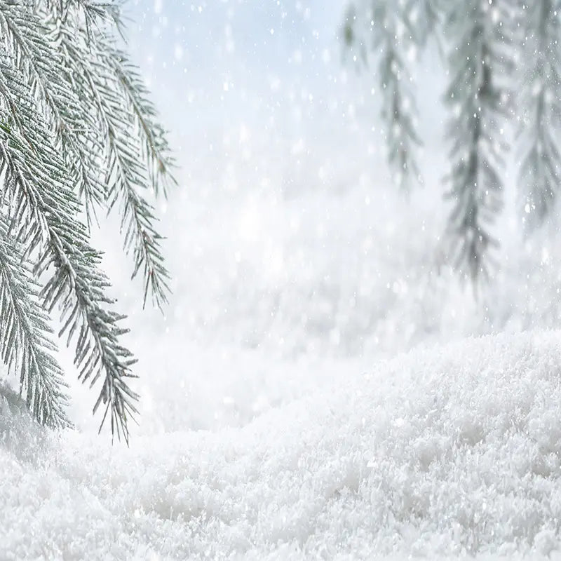 Pillow_Cover_Backdrops_Holiday_Snowy_Leaves-pob-backdrops