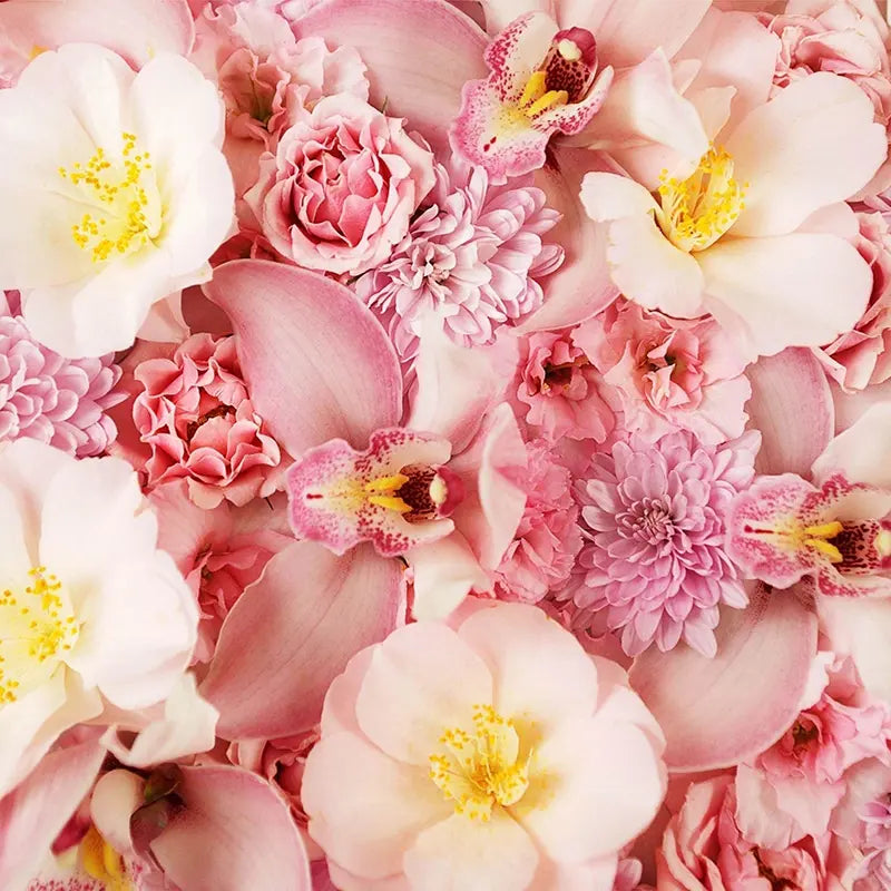 Pillow_Cover_Backdrops_Pink_Bulb_Floral-pob-backdrops