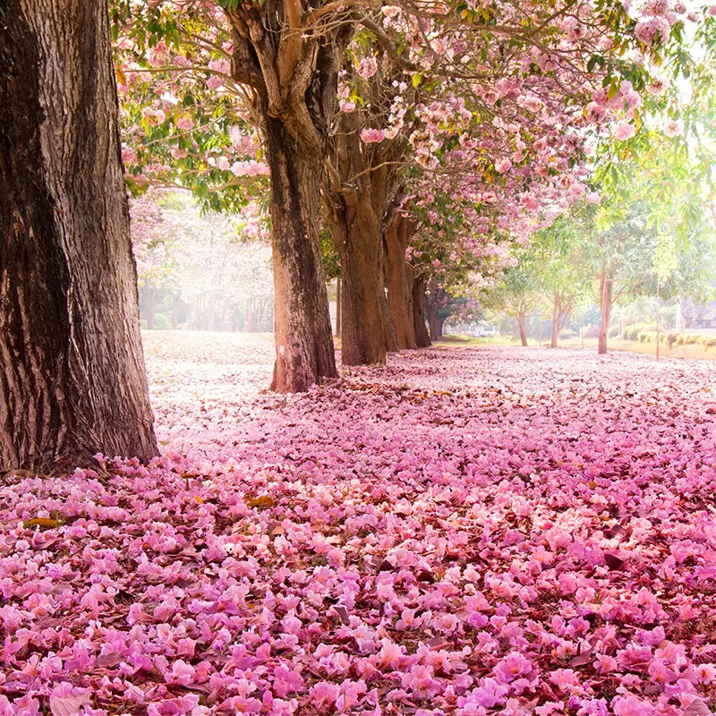 Pillow_Cover_Backdrops_Pink_Garden_Side-pob-backdrops