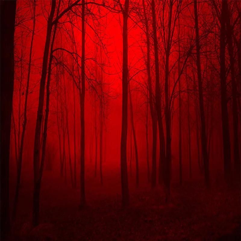 Pillow_Cover_Backdrops_Red_Forest_Halloween-pob-backdrops