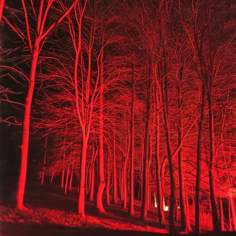 Pillow_Cover_Backdrops_Red_Woods-pob-backdrops