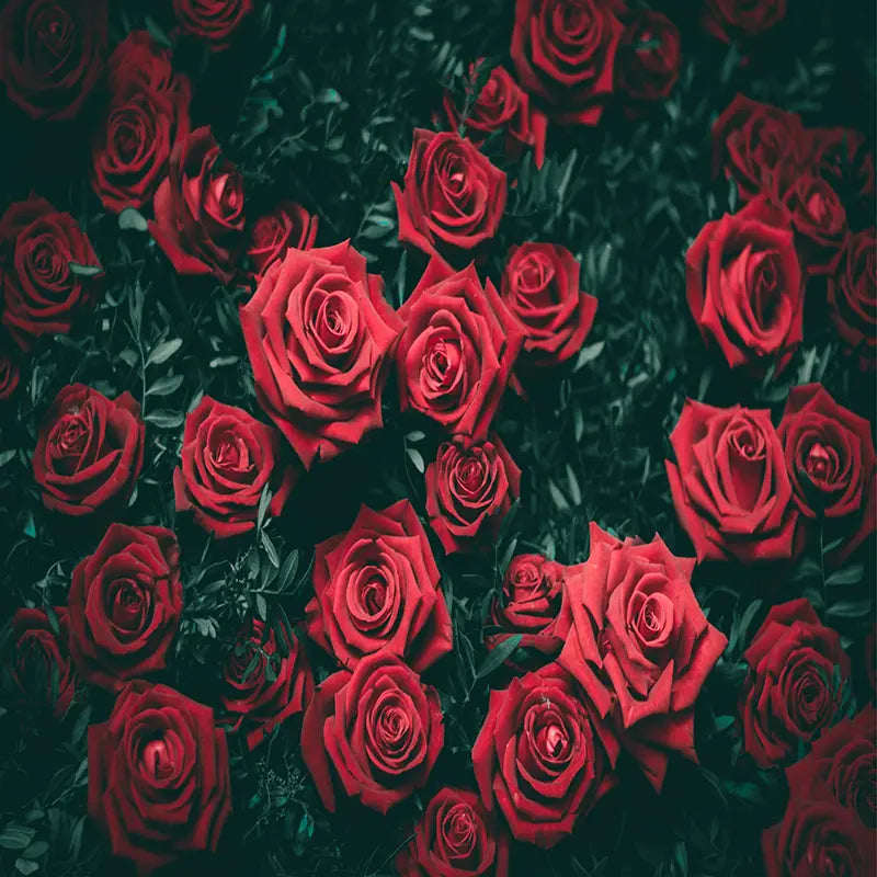 Pillow_Cover_Backdrops_Rose_Buds_with_Greenery-pob-backdrops