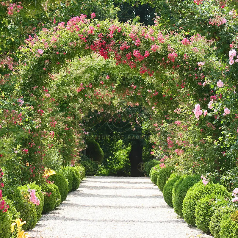 Pillow_Cover_Backdrops_Rose_Garden_Arch-pob-backdrops