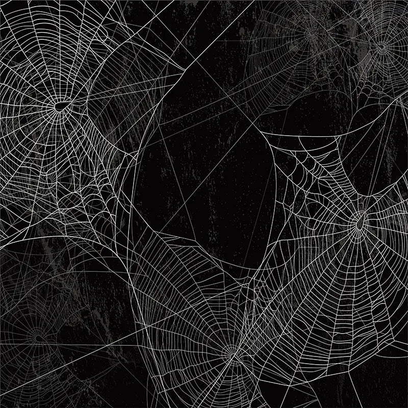 Pillow_Cover_Backdrops_Spider_Web-pob-backdrops