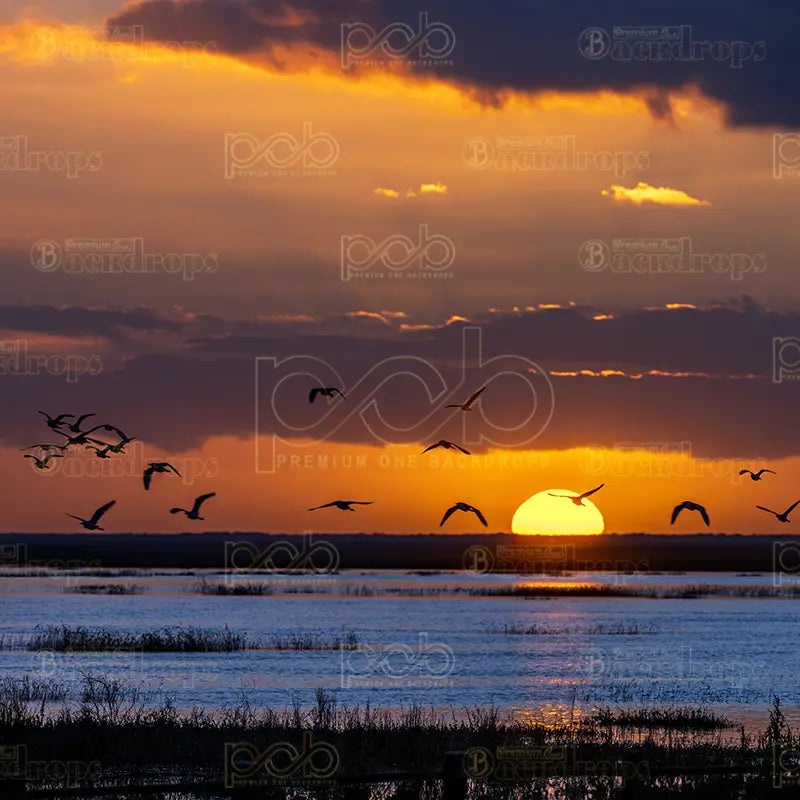 Pillow_Cover_Backdrops_Twilight_Horizons-pob-backdrops