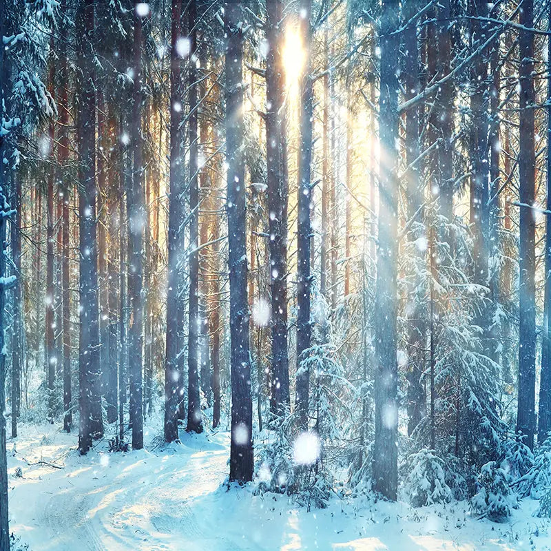 Pillow_Cover_Backdrops_Winter_Woods-pob-backdrops