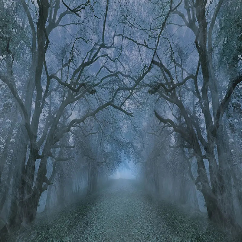 Pillow_Cover_Backdrops_spooky_foggy_forest-pob-backdrops