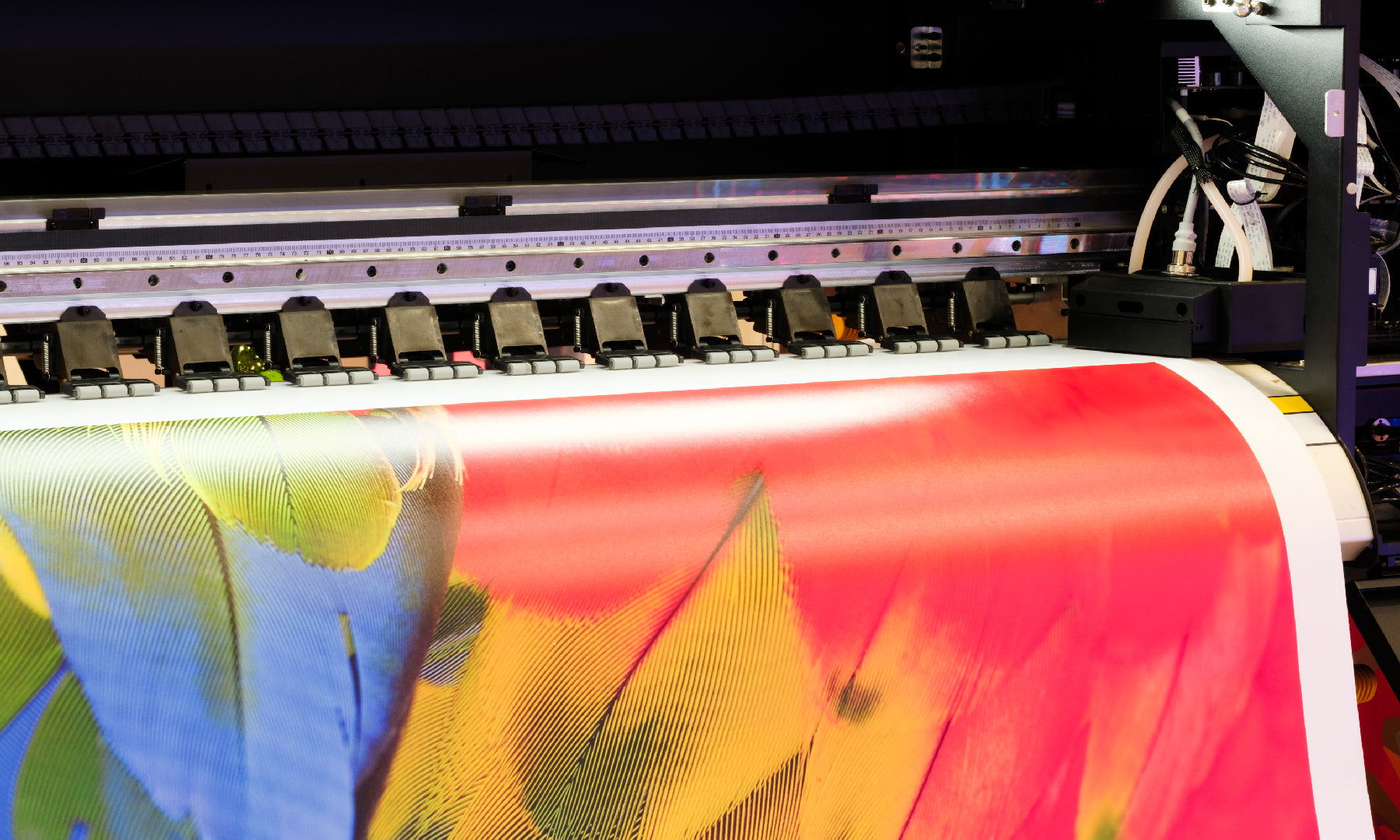 Behind the Scenes: How Premium Backdrops Are Made