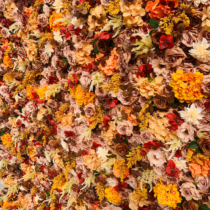 All Orange Premium Wild Rose Flower Wall