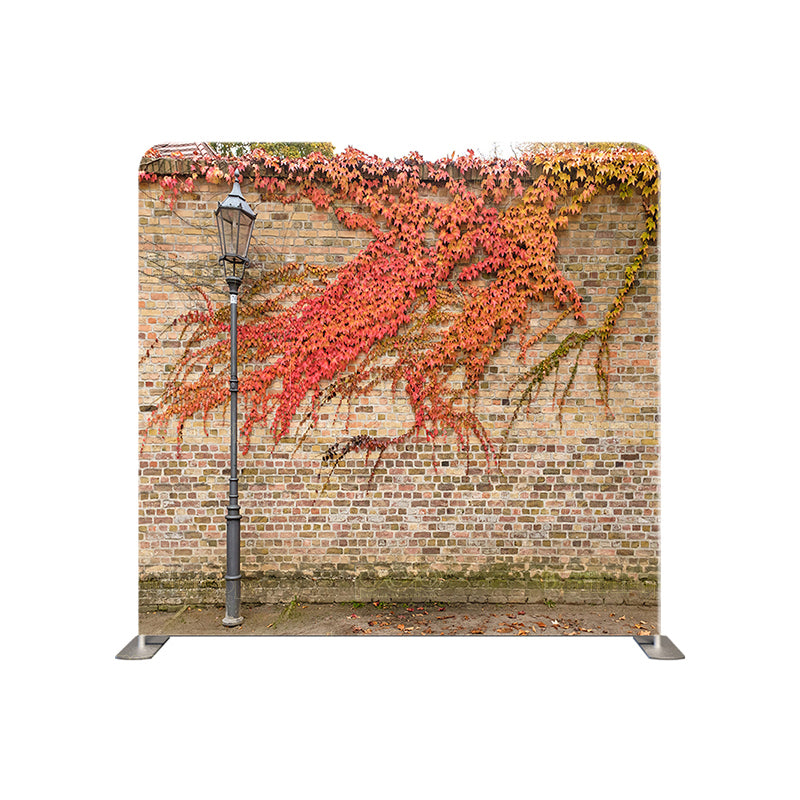 premium one pillowcover backdrops-Autumn City