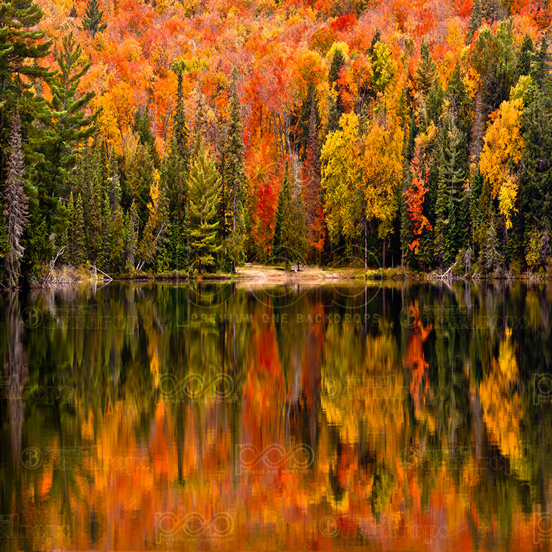 premium one pillowcover backdrops-Autumn Lake