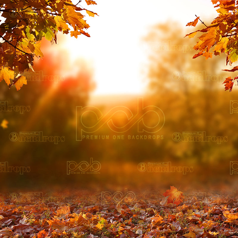 premium one pillowcover backdrops-Autumn Warmth