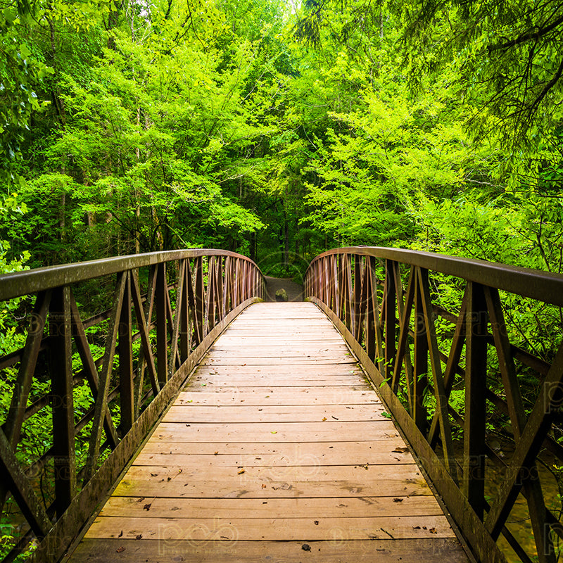 premium one pillowcover backdrops-BRIDGE INTO NATURE