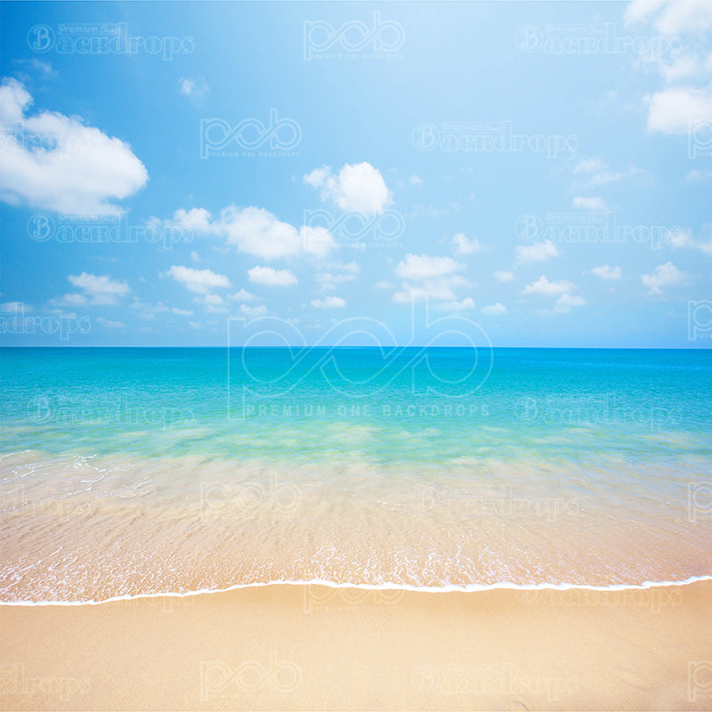 premium one pillow cover backdrops-Beach View