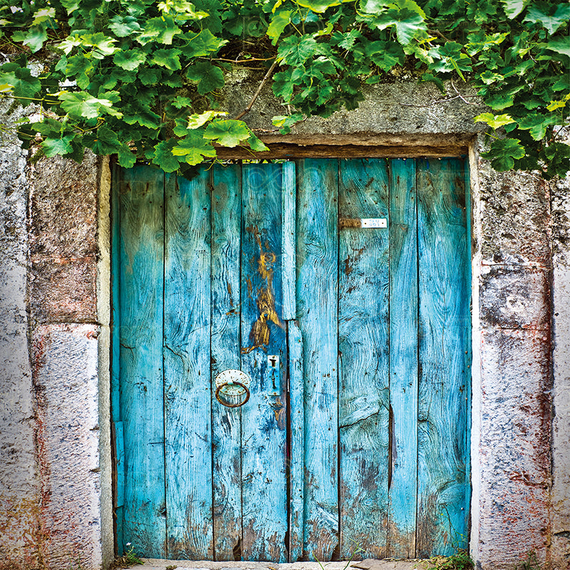 premium one pillow cover backdrops-Blue Doors with Greenery