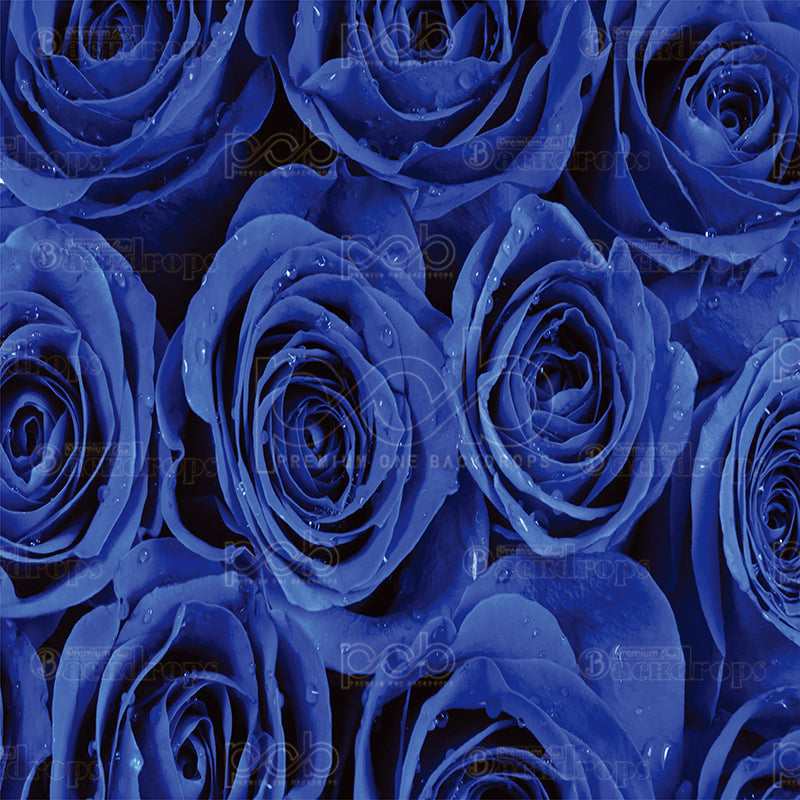 premium one pillow cover backdrops-Blue Roses