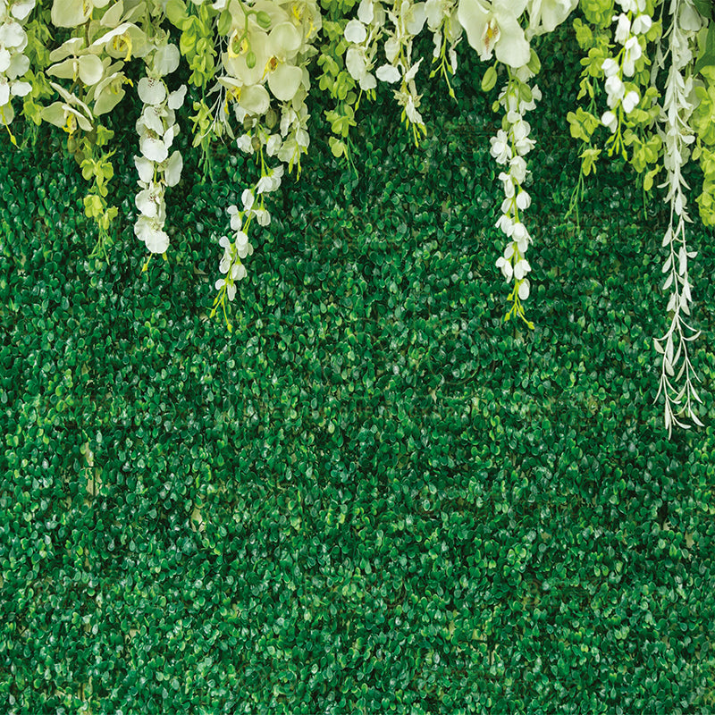 premium one pillow cover backdrops-Boxwood Hanging Flowers