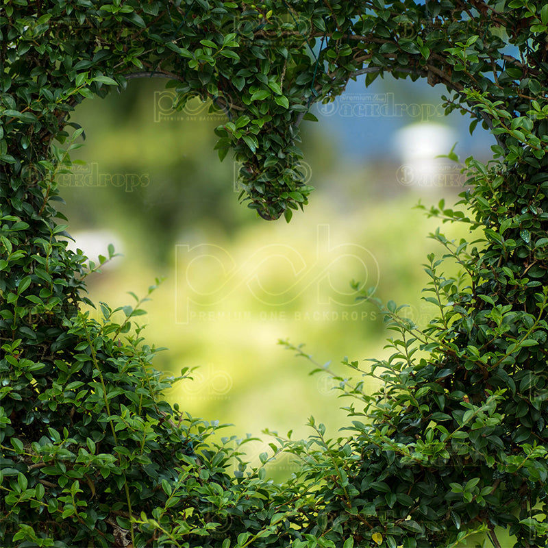 premium one pillow cover backdrops-Boxwood Heart