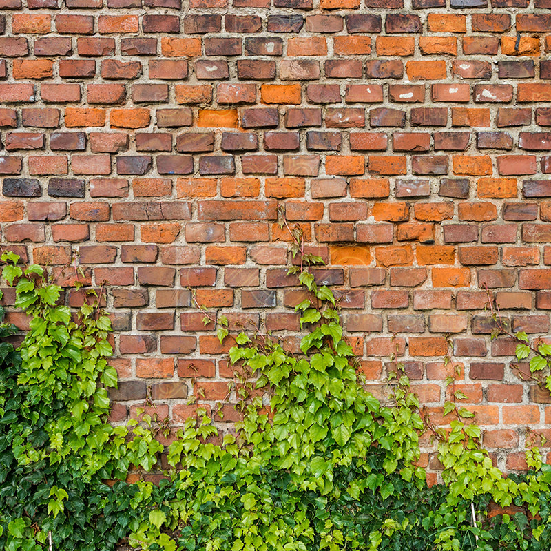 premium one pillowcover backdrops-Brick With Greenery