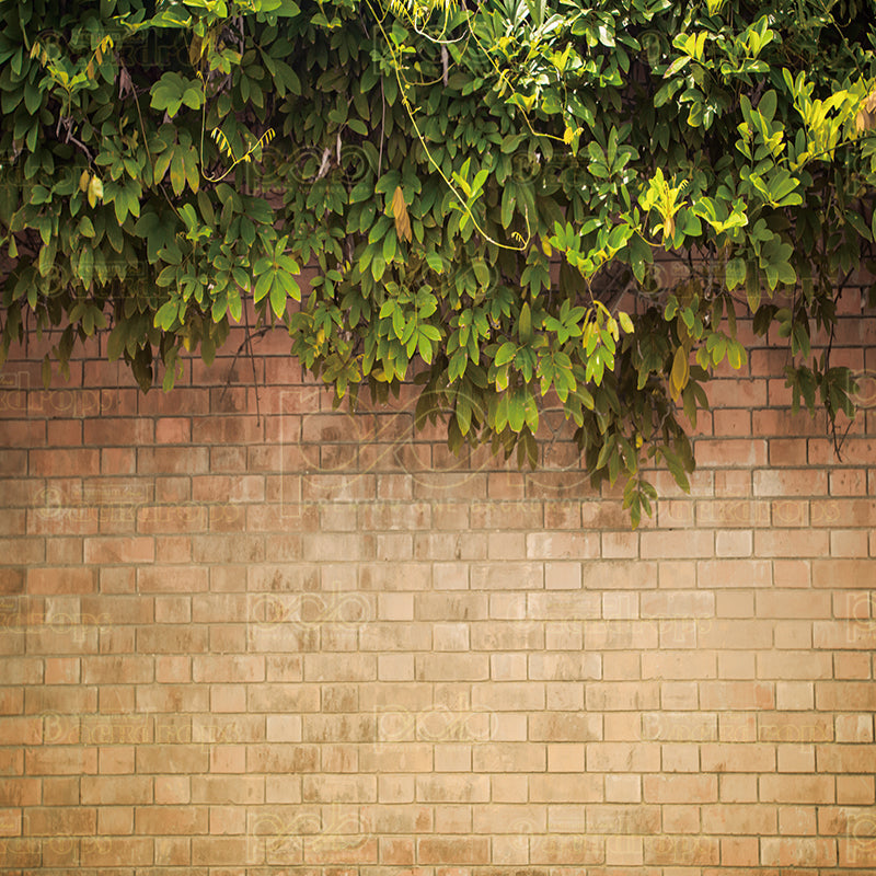 premium one pillow cover backdrops-Brown Brick Wall with Greenery