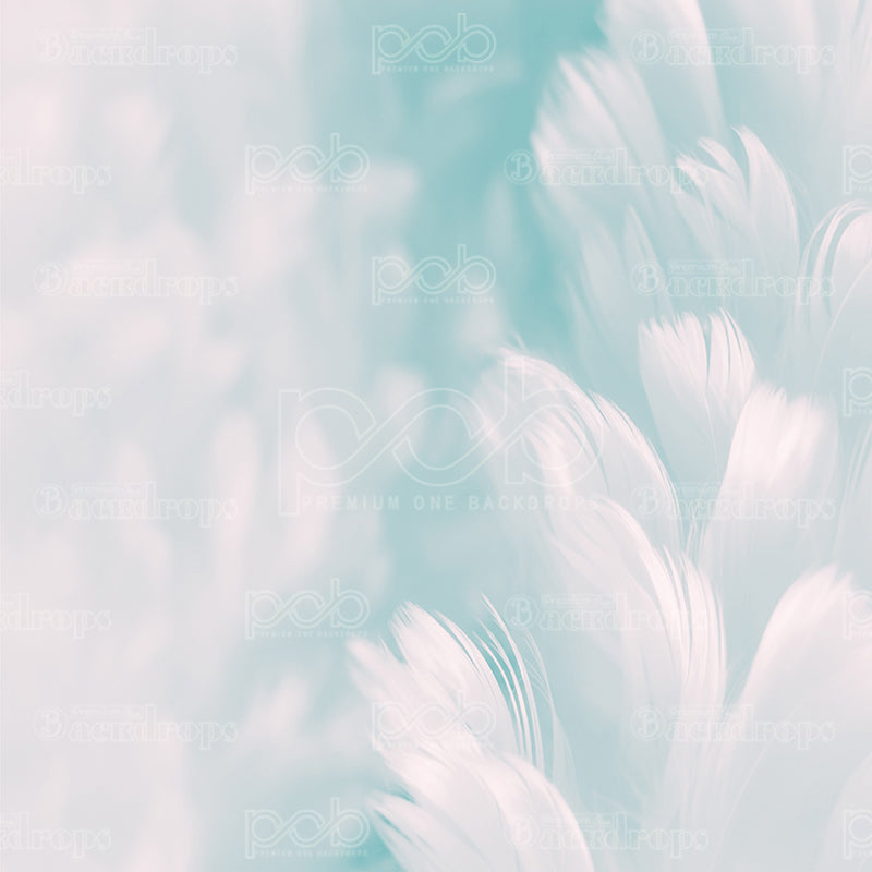 premium one pillowcover backdrops-Calming White Feathers