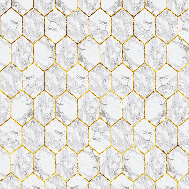 premium one pillowcover backdrops-Gold Streak Marble