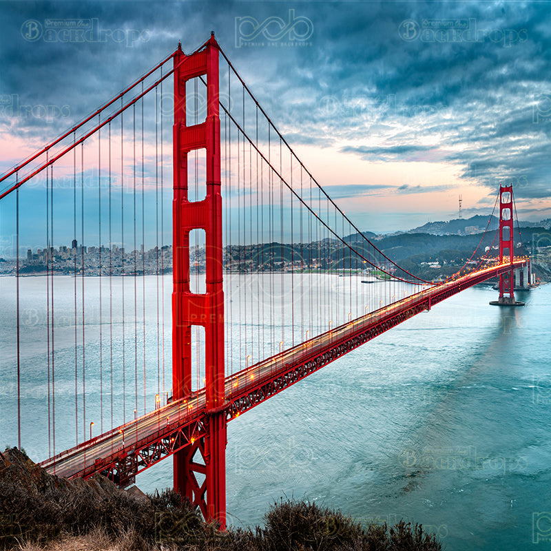 premium one pillowcover backdrops-Golden Gate