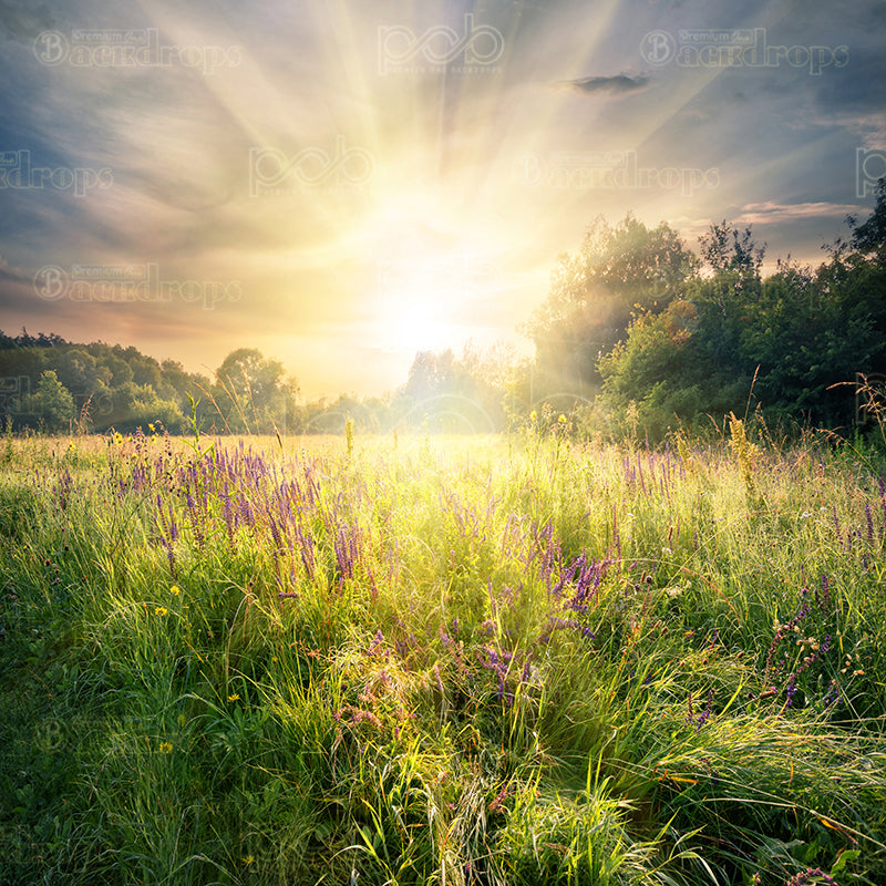 premium one pillowcover backdrops-Greenery Sunset Blur