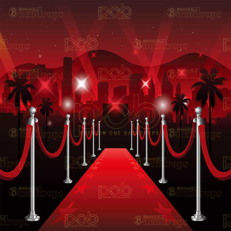 premium one pillowcover backdrops-Hollywood