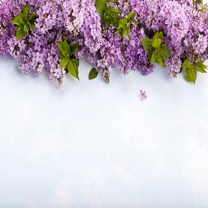 premium one pillowcover backdrops-Lilacs In Spring