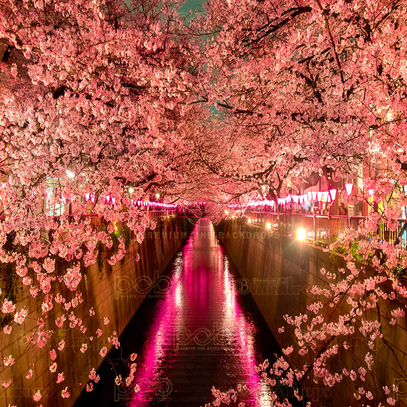 premium one pillowcover backdrops-Night Cherry Blossoms