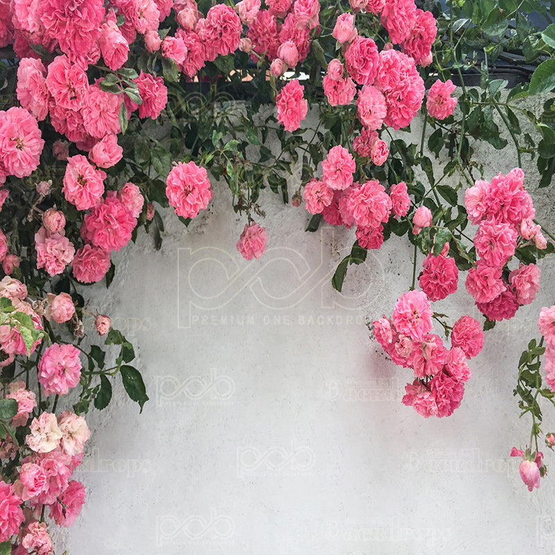 premium one pillowcover backdrops-PINK ROSE DRAPE