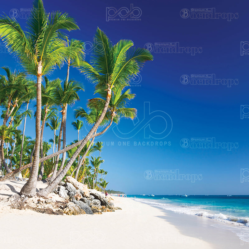 premium one pillowcover backdrops-Palm Beach