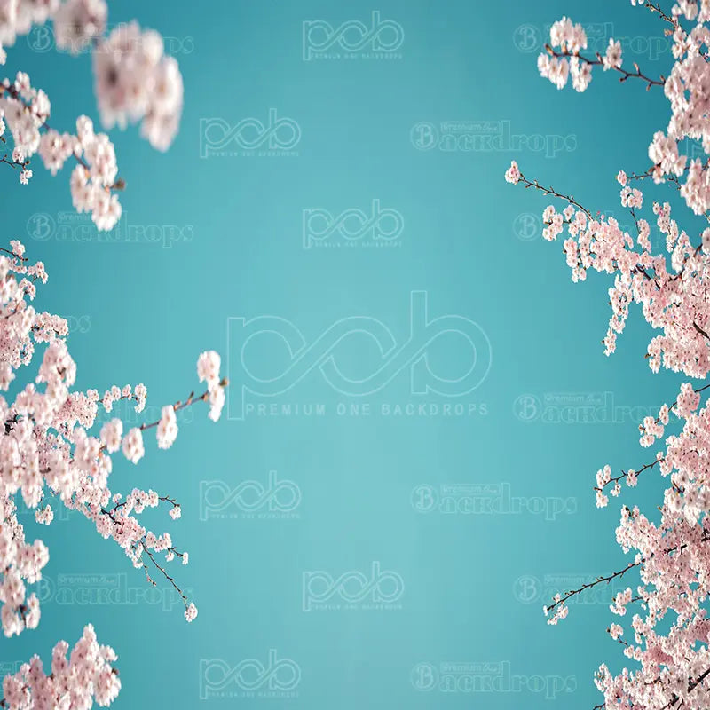 Pillow-cover-backdrops-Cherry_Blossom_Sky-pob-backdrops