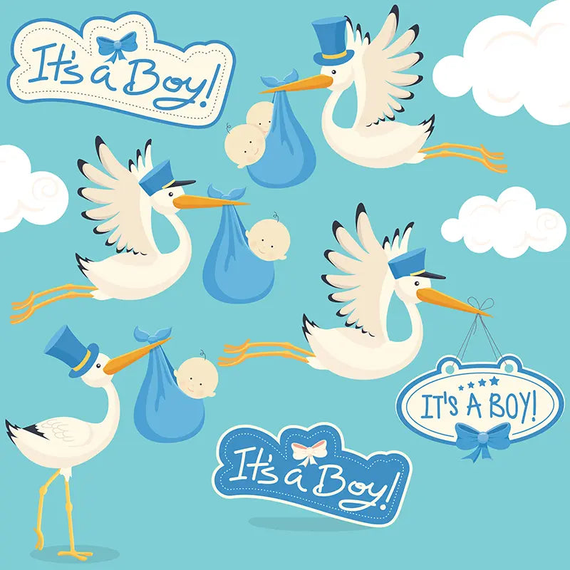Pillow_Cover_Backdrops_Baby_Shower_Boy-pob-backdrops
