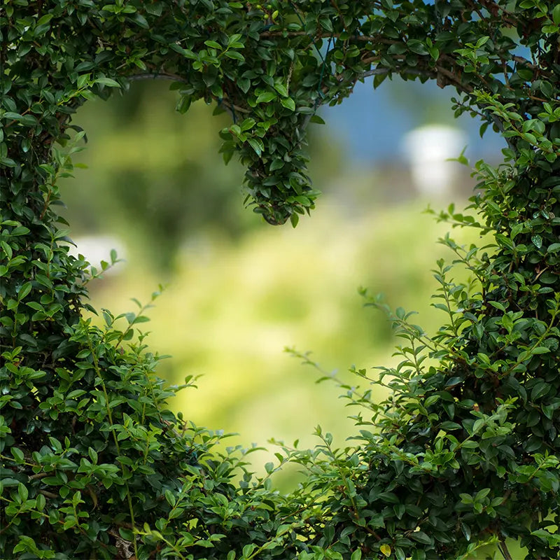 Pillow_Cover_Backdrops_Boxwood_Heart-pob-backdrops