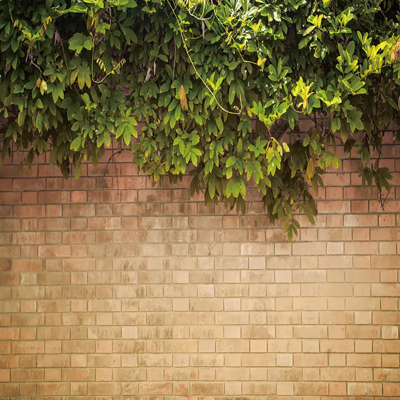 Pillow_Cover_Backdrops_Brown_Brick_Wall_with_Greenery-pob-backdrops